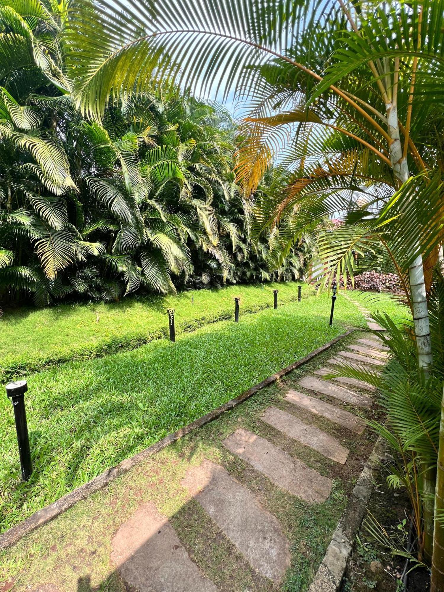 Coorg Nesara Hotel And Resort Kushalnagar Luaran gambar